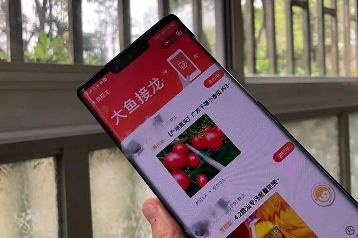 每一个大鱼团长都有属于自己的小程序