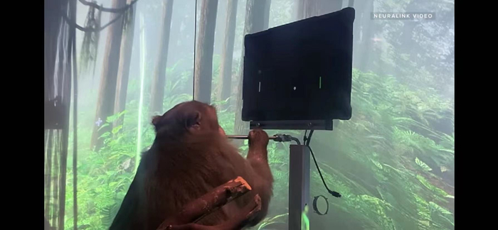 资料来源：推特截图