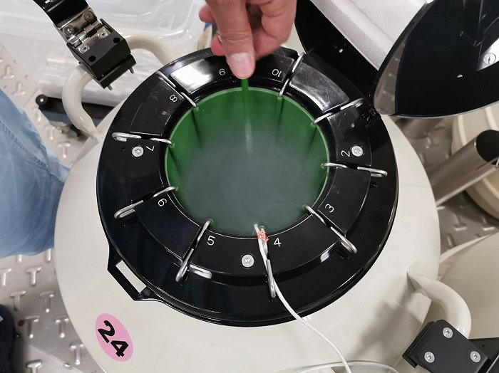 液氮罐 图片摄于四川省人民医院 图片来源：界面新闻