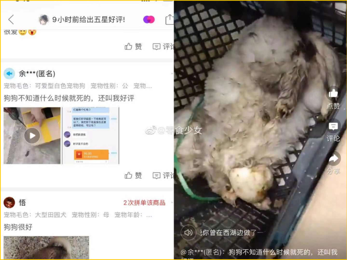图源微博@零食少女