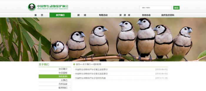 　图片来源：中国野生动物保护协会官网截图