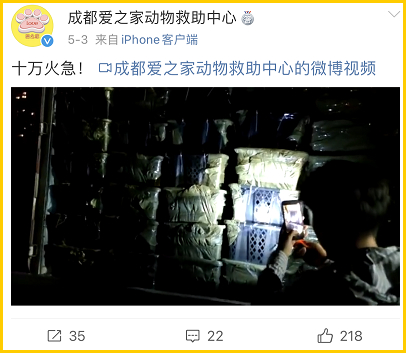 图源：成都爱之家动物救助中心