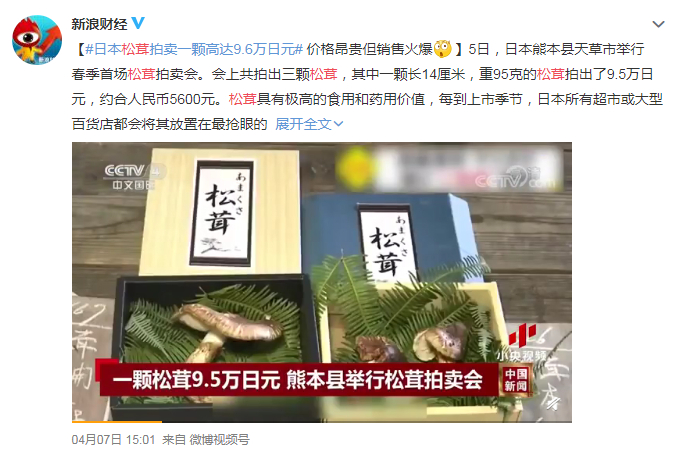 日本近日卖出天价松茸 / 微博