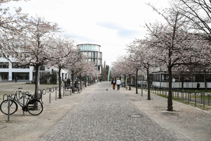 这是2021年4月16日在德国哥廷根拍摄的哥廷根大学一角。新华社记者单宇琦摄