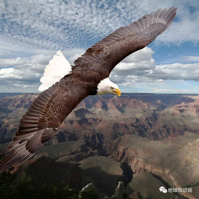 美国的人口密度大概是每平方公里35人，人口密度最小的阿拉斯加州每平方公里约有3人（图：shutterstock）