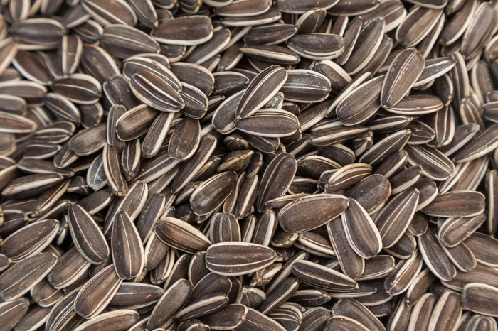 ▲ID：VCG21gic20038040&nbsp;作者/来源：签约供稿人/视觉中国