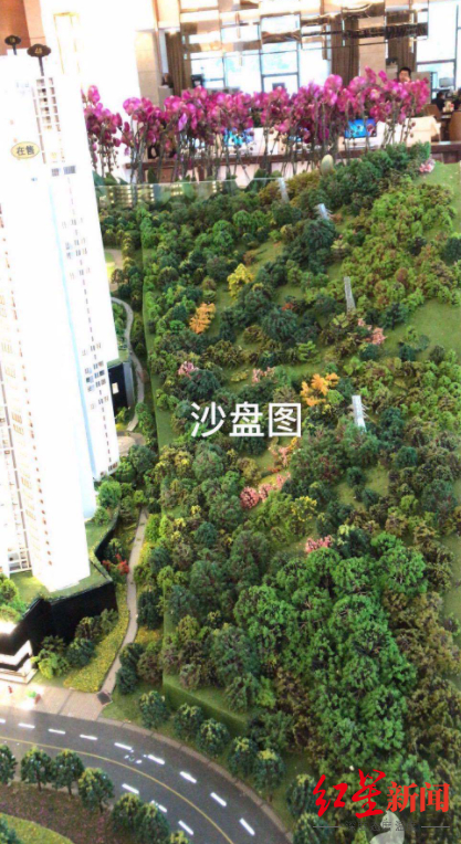  ▲购房时沙盘图显示的小区周边环境