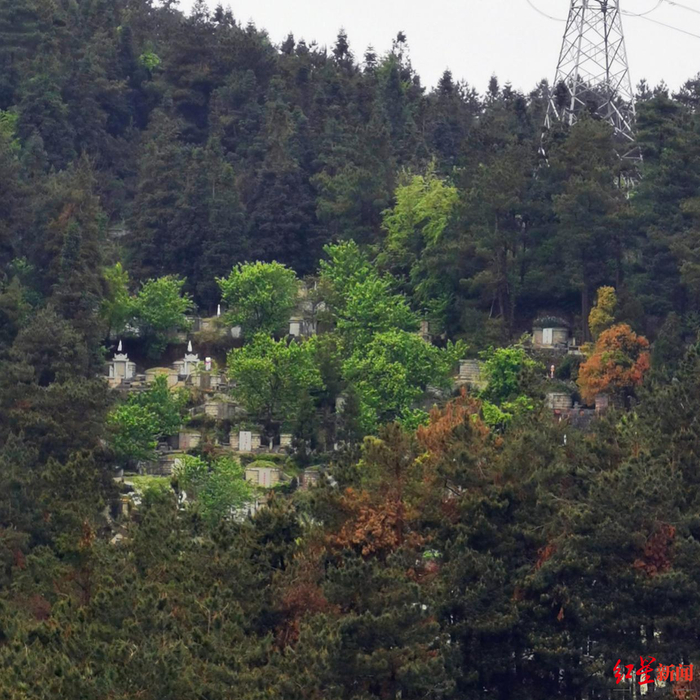  ▲实际交房后，业主推窗可见的却是一片坟冢