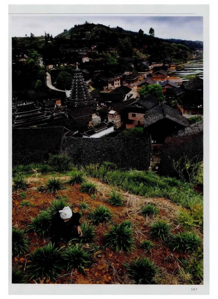 图源《国家地理》杂志内页