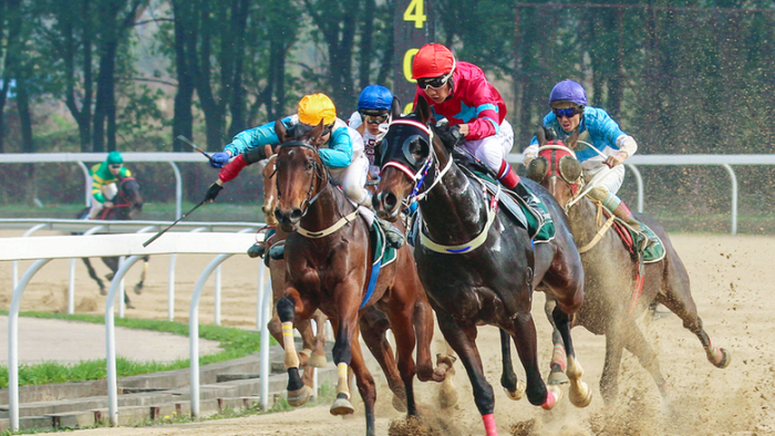 图为新疆伊犁那拉提草原赛马比赛