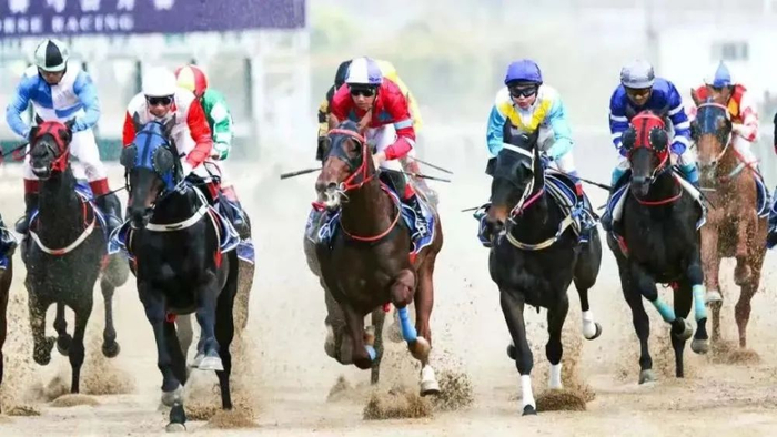 图为新疆伊犁那拉提草原赛马比赛