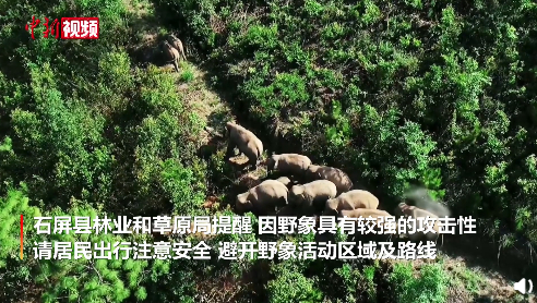 图片来源：中新视频截图