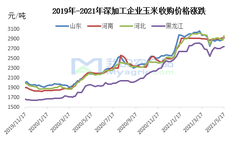 图1 深加工企业玉米收购价格走势图