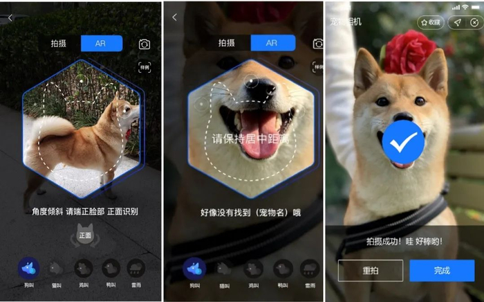 图片来源：支付宝