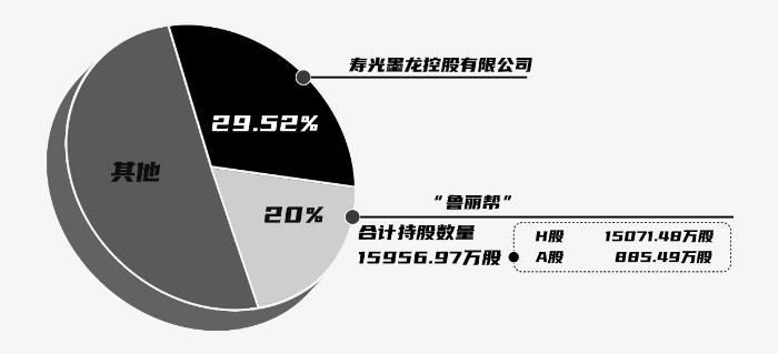 郭晨凯 制图山东墨龙股权结构图