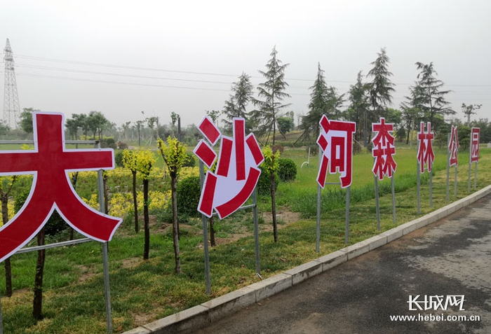 大沙河森林公园一角。长城网记者 赵晓慧 摄