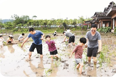 近年来，以农耕劳作体验为主题的家庭亲子近郊游逐渐受到欢迎。图为小朋友和家长在重庆近郊的江津区五一田社运营基地雨仙农谷景区稻田里体验插秧。新华社记者 唐 奕摄