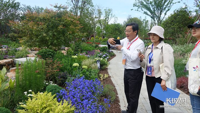 专业观众被花博会河北展园的花卉园艺美景所吸引，纷纷驻足拍照。长城网记者 吴新光 摄