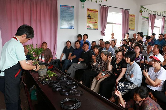 图片来源：上海崇明