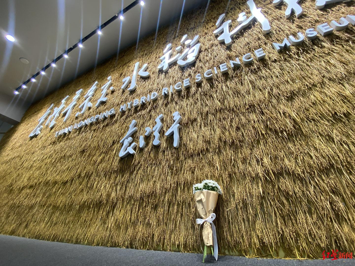 ▲5月22日，袁隆平杂交水稻科技馆