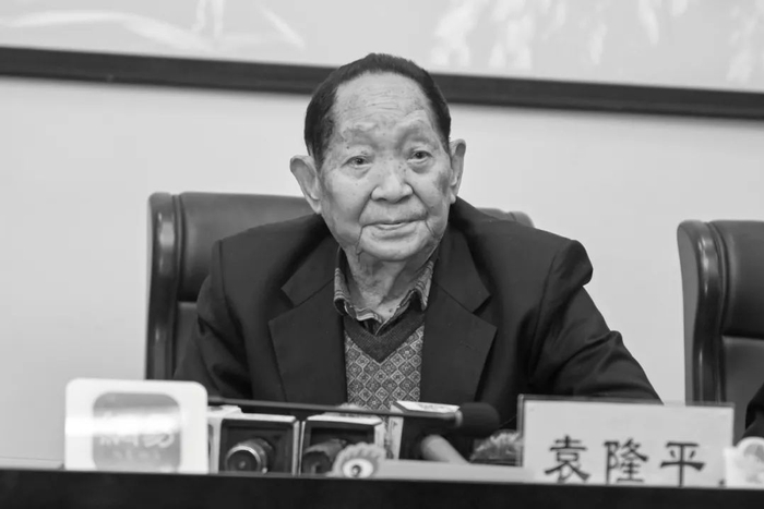  袁隆平。图/中新社