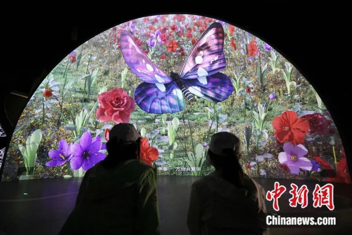 场馆中的科技场景 中新社张亨伟 摄