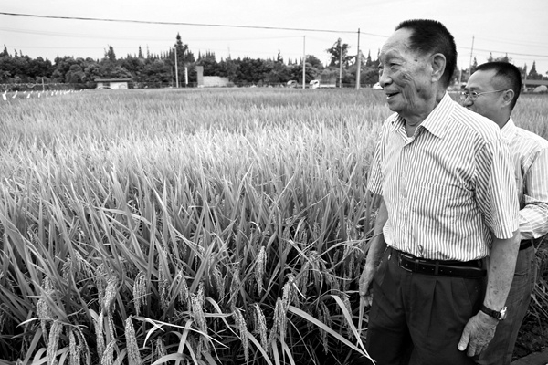 喜看稻菽千重浪。1930年9月7日—2021年5月22日