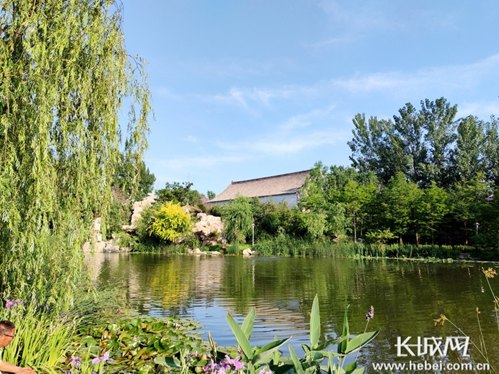 粮画小镇一角。长城网记者 信贺宁 摄