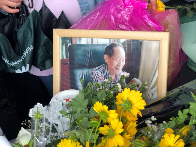 鲜花。图/武汉晨报记者 温艳丽