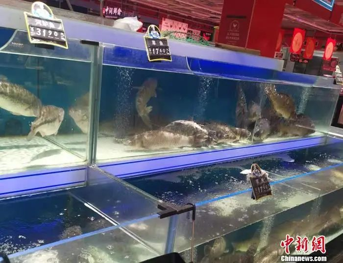 北京市丰台区一家超市的水产区。中新网记者 谢艺观 摄