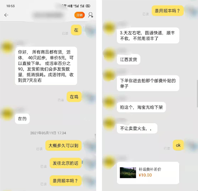 图为与萤火虫售卖店铺的对话