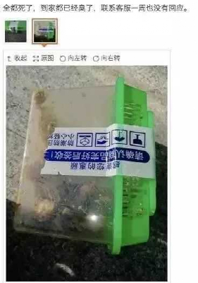 图片来源于网络