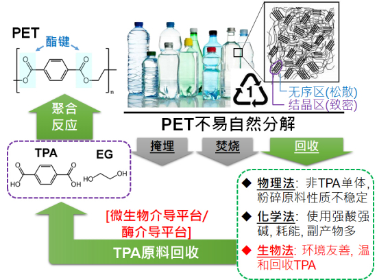 △PET塑料单体、聚合体、产品，以及废弃物处理的主要手段