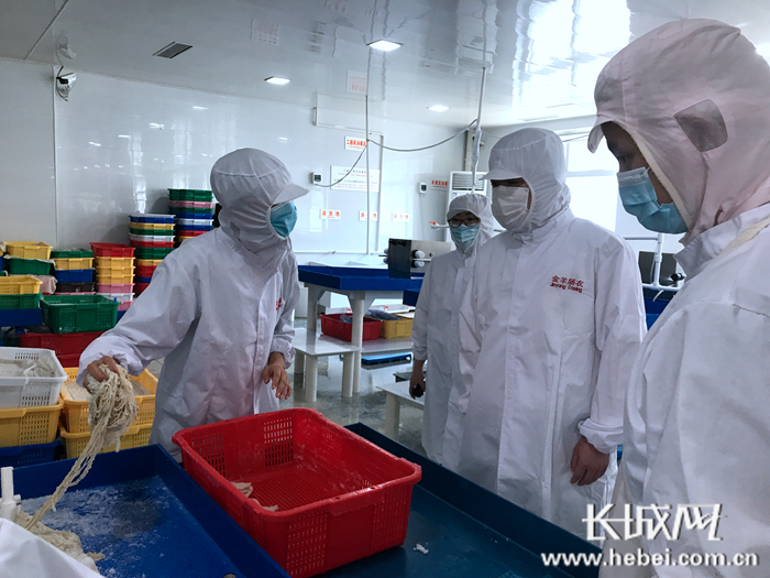 资料图片：保定海关关员监管出口产品。李萍 摄
