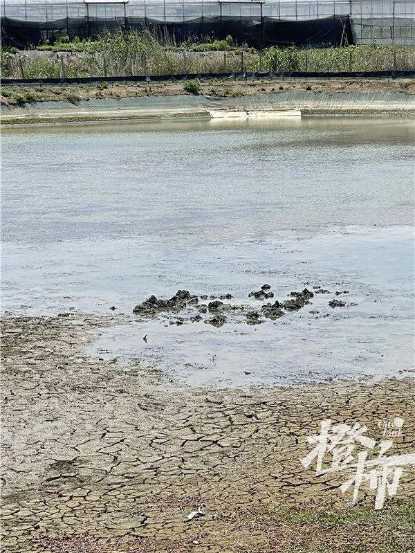 不明物体落入的地点。橙柿微信公众号图