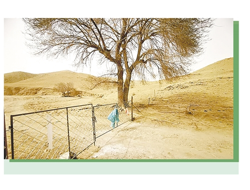 内蒙古草原上优化之前的网围栏。 经济日报记者 余 健摄