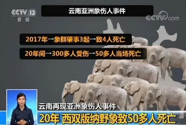 截图自央视新闻2018年报道
