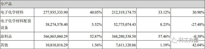 上海新阳2020年财报截图