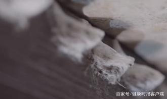 金丝燕的巢穴。受访者供图