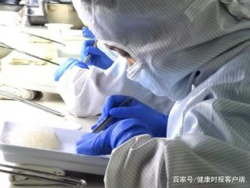 在燕窝工厂，正在挑毛的女工。王振雅/摄