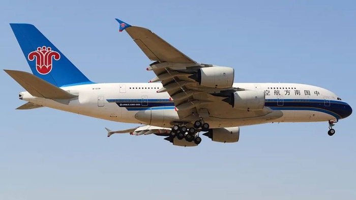 图：“押大”的输啦！　摄影：拉上窗帘