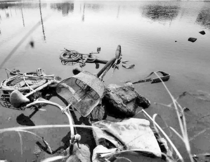 案发前，藤崎早苗丢弃手机的池塘，图源：《看护杀人》