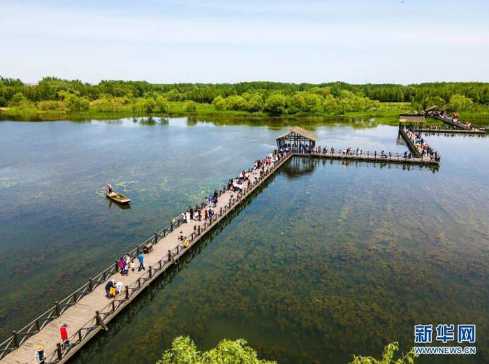 5月2日，游客在江苏省泰州市姜堰区溱湖国家湿地公园栈道上游览。图据新华社