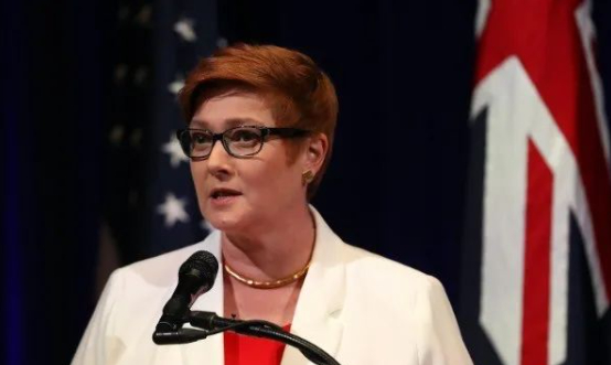  澳大利亚外交部长佩恩