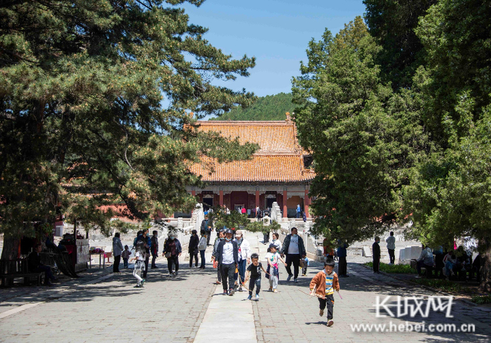 游人在世界文化遗产清东陵乐享五一假期。 张旭 摄