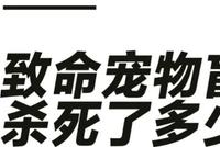 ELLEMEN:谁在为毫无人性的宠物盲盒买单?
