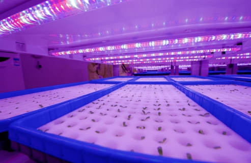 图片来源：新华网