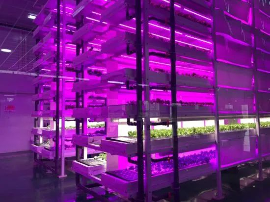 图片来源：人民网