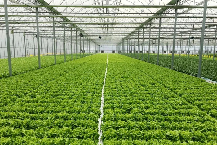 图片来源：浙江在线