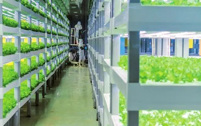 图片来源：潇湘晨报